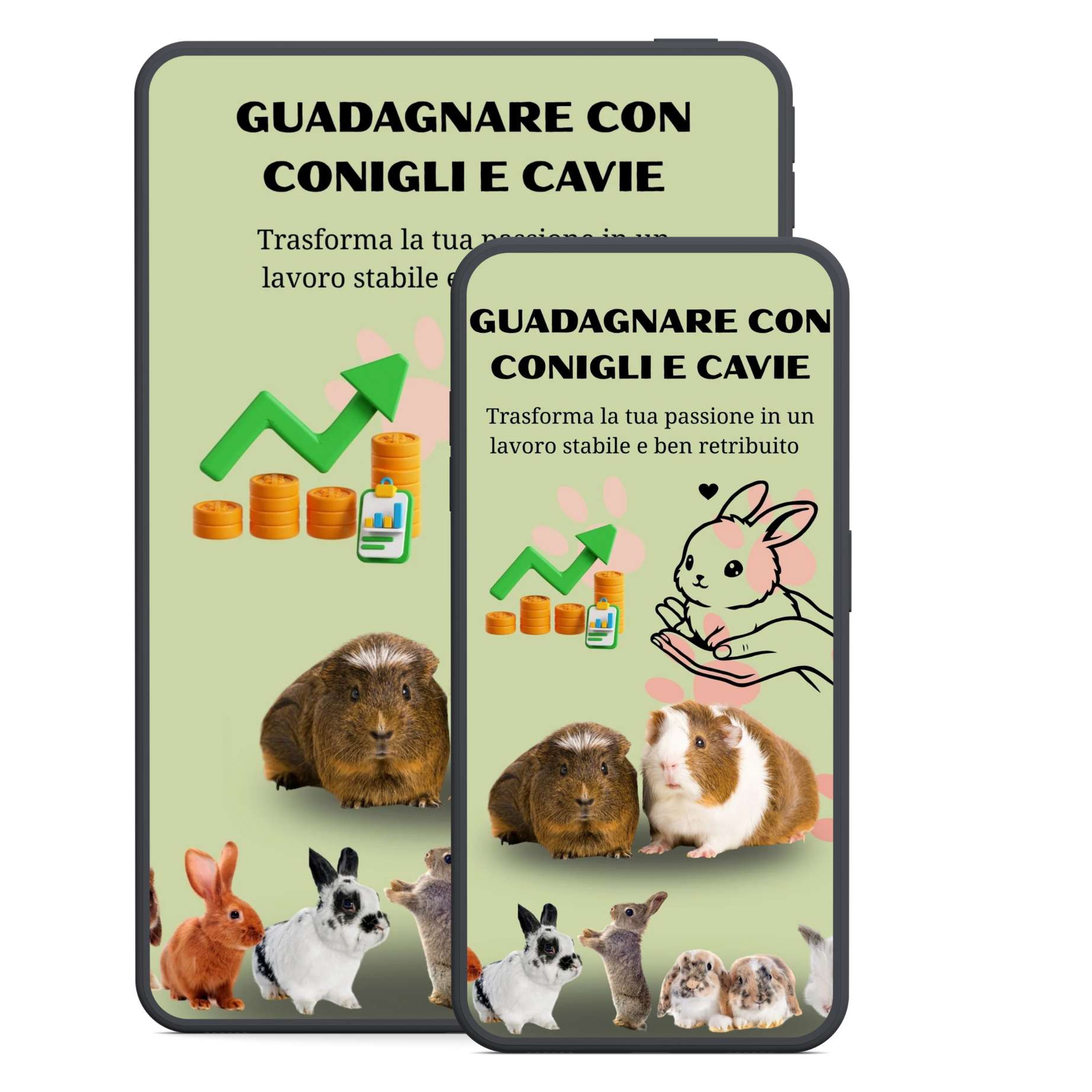 Allevare Conigli e Cavie