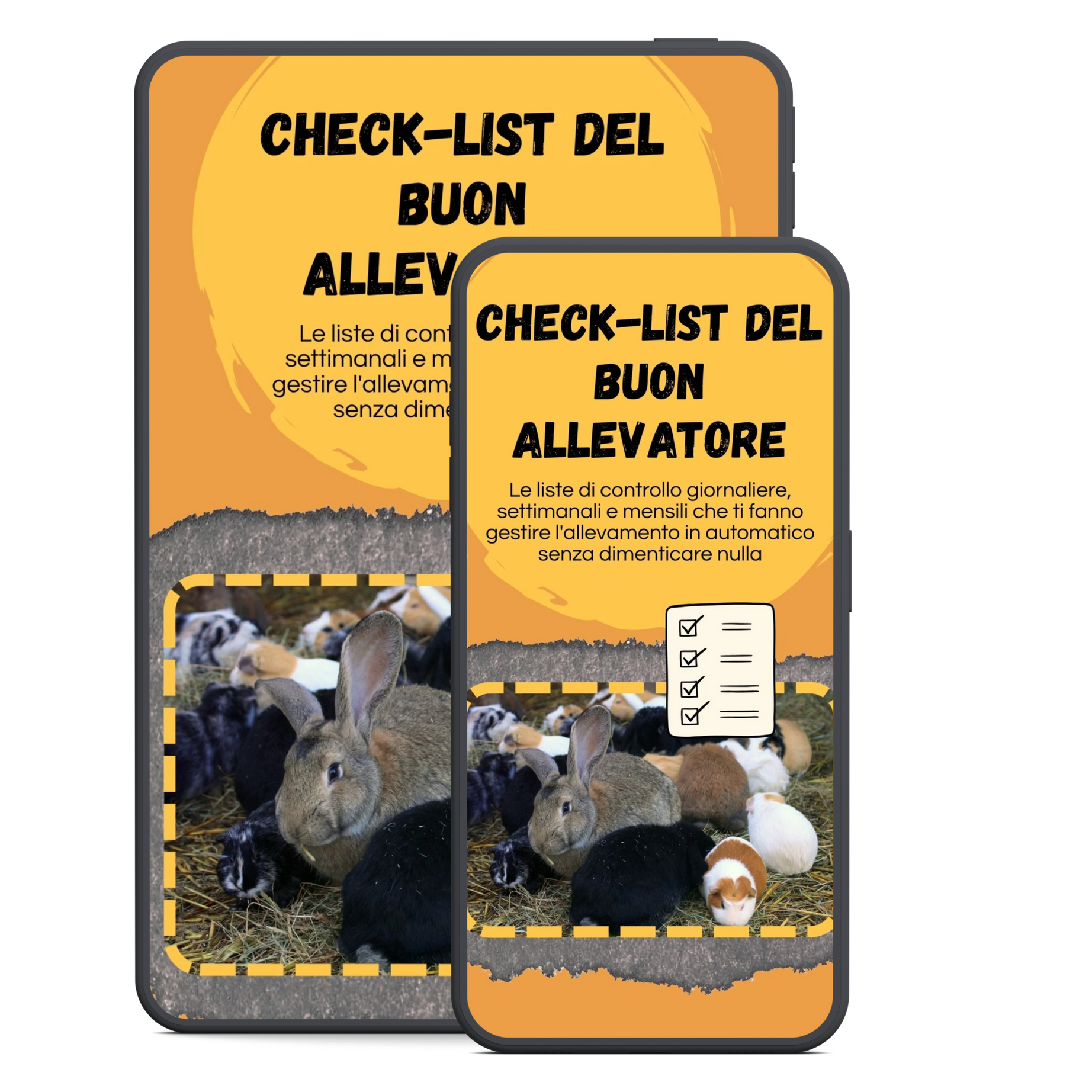 Allevare Conigli e Cavie