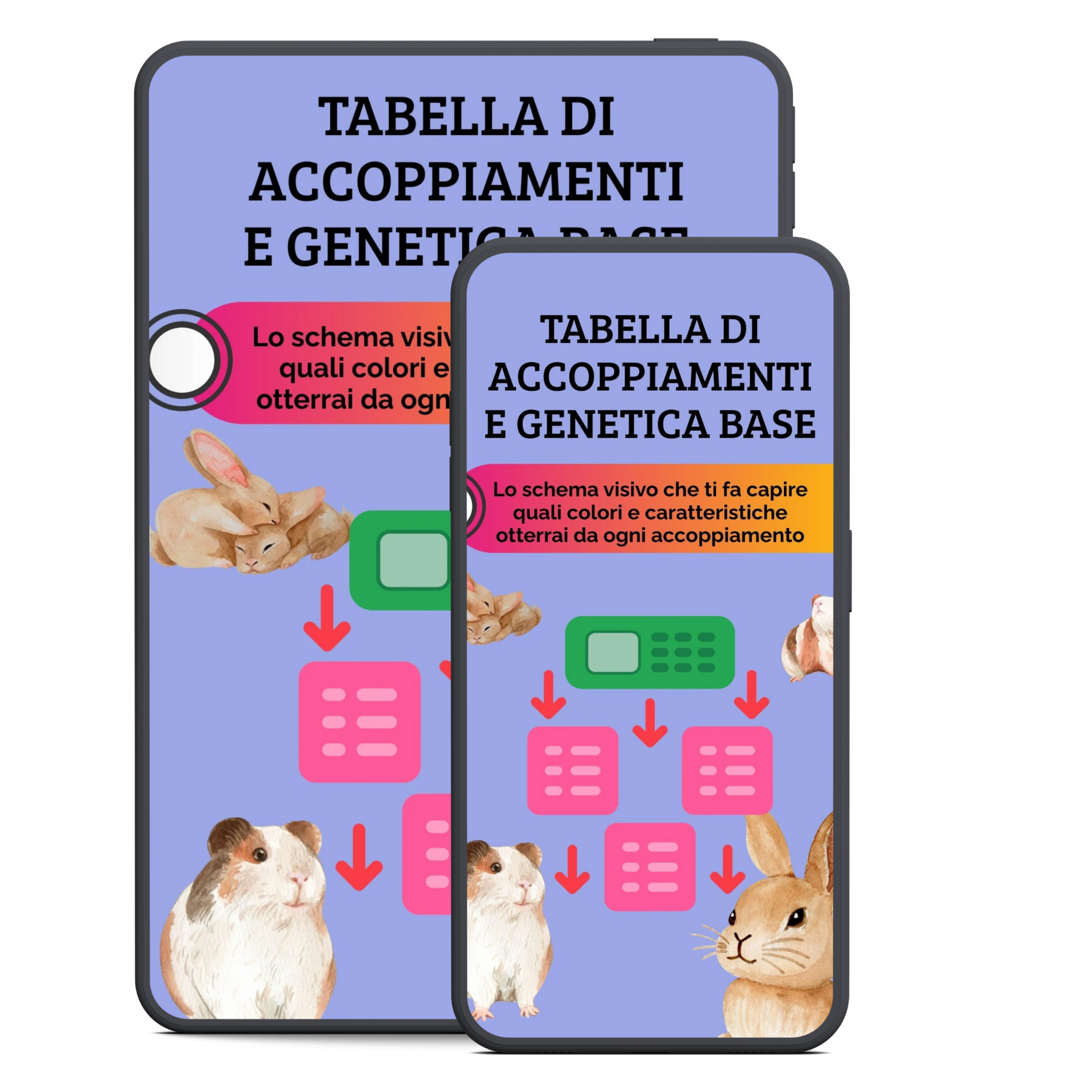 Allevare Conigli e Cavie